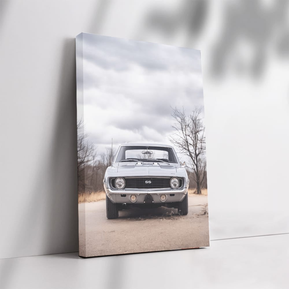 1969 Camaro SS in Nature - Classic Muscle Beauty