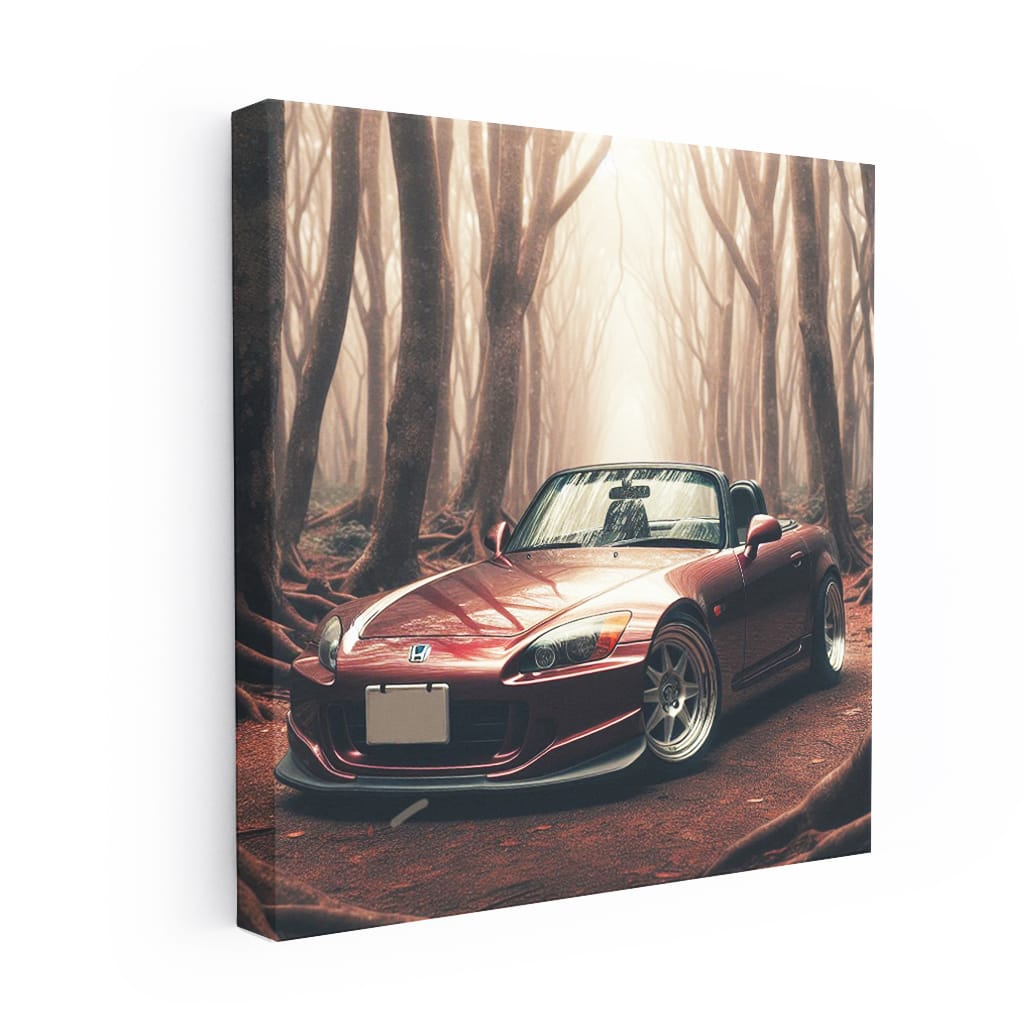 2001 Honda S2000 in Forest - Agile and Thrilling Ride