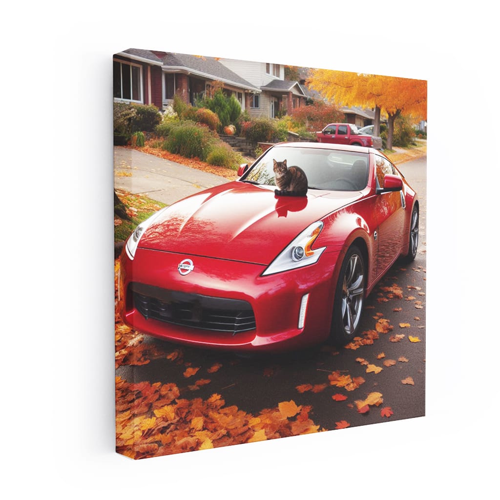 2009 Nissan 370Z Parking - Sleek Power in Motion