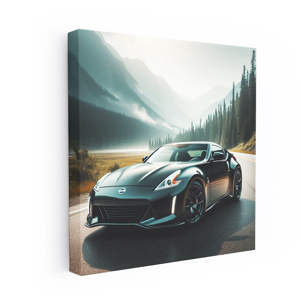 2009 Nissan 370Z Valley - Sporty Elegance