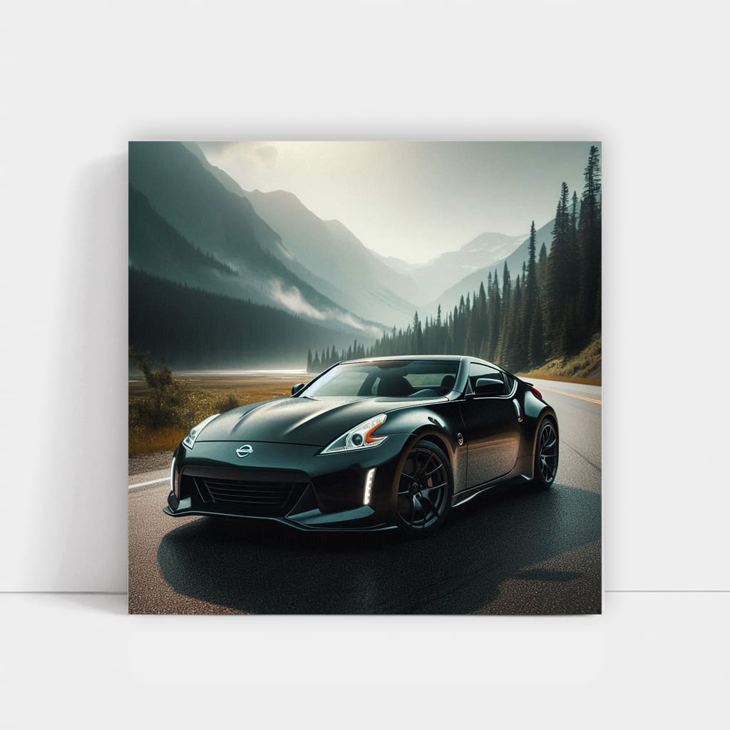 2009 Nissan 370Z Valley - Sporty Elegance