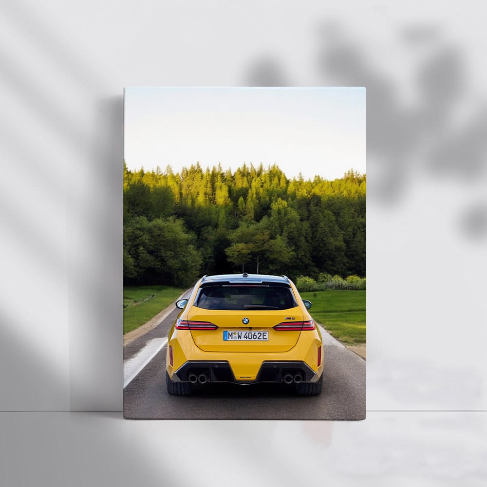 2025 BMW M5 Roaming Forest - Power Meets Elegance