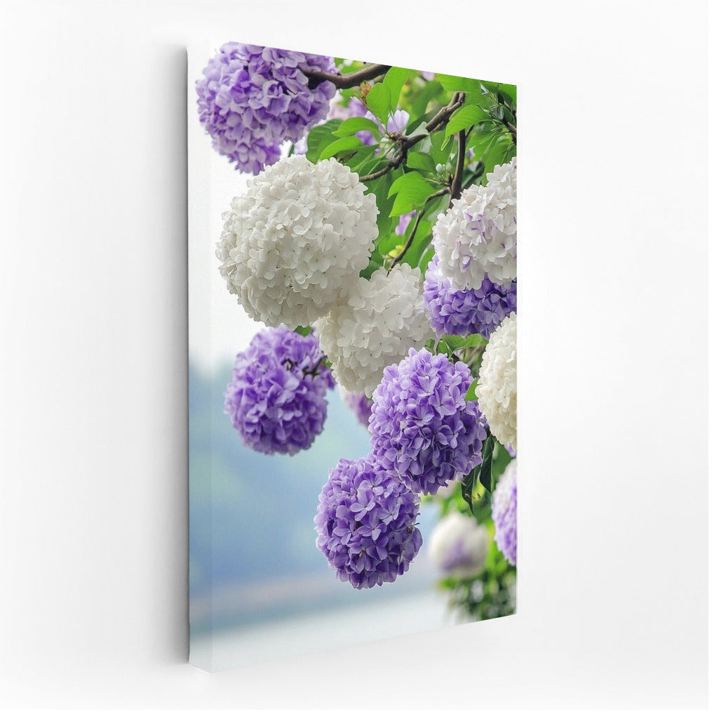 Lilac Whisper