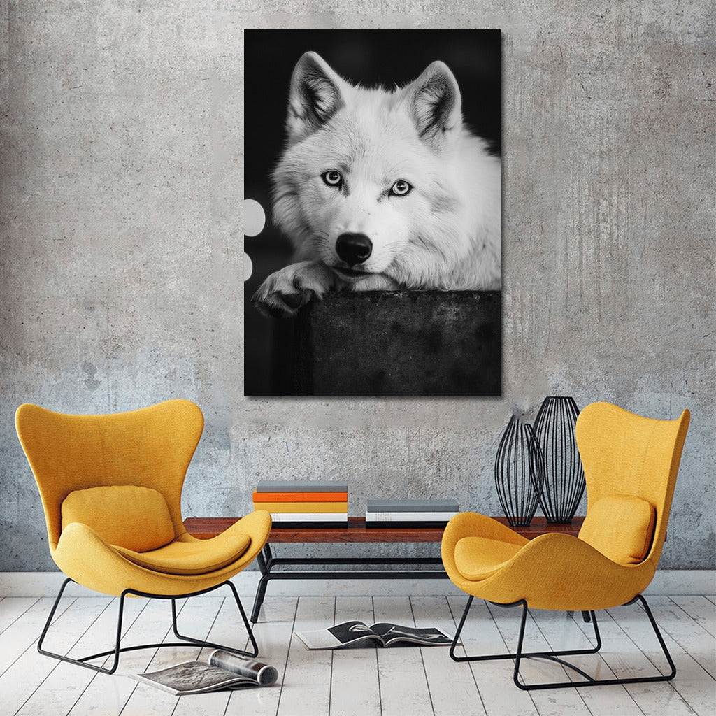Wolf: Majesty and Mystery