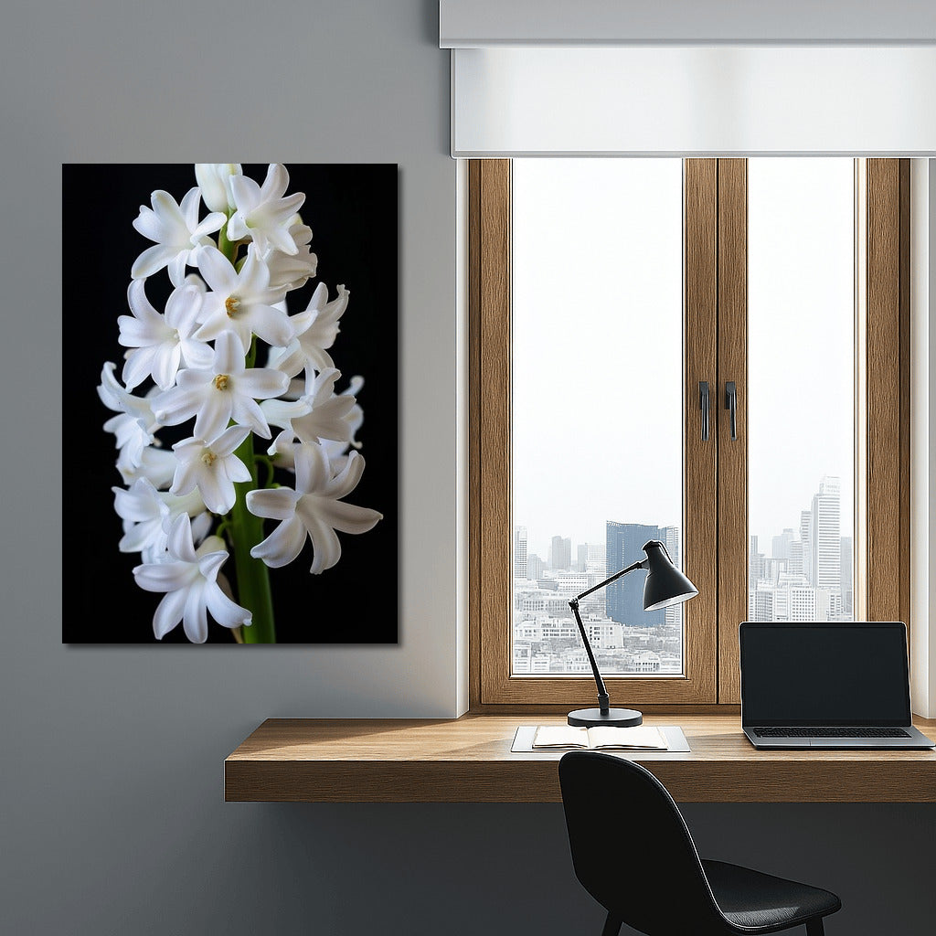 Snow White Hyacinth: Symphony of Freshness