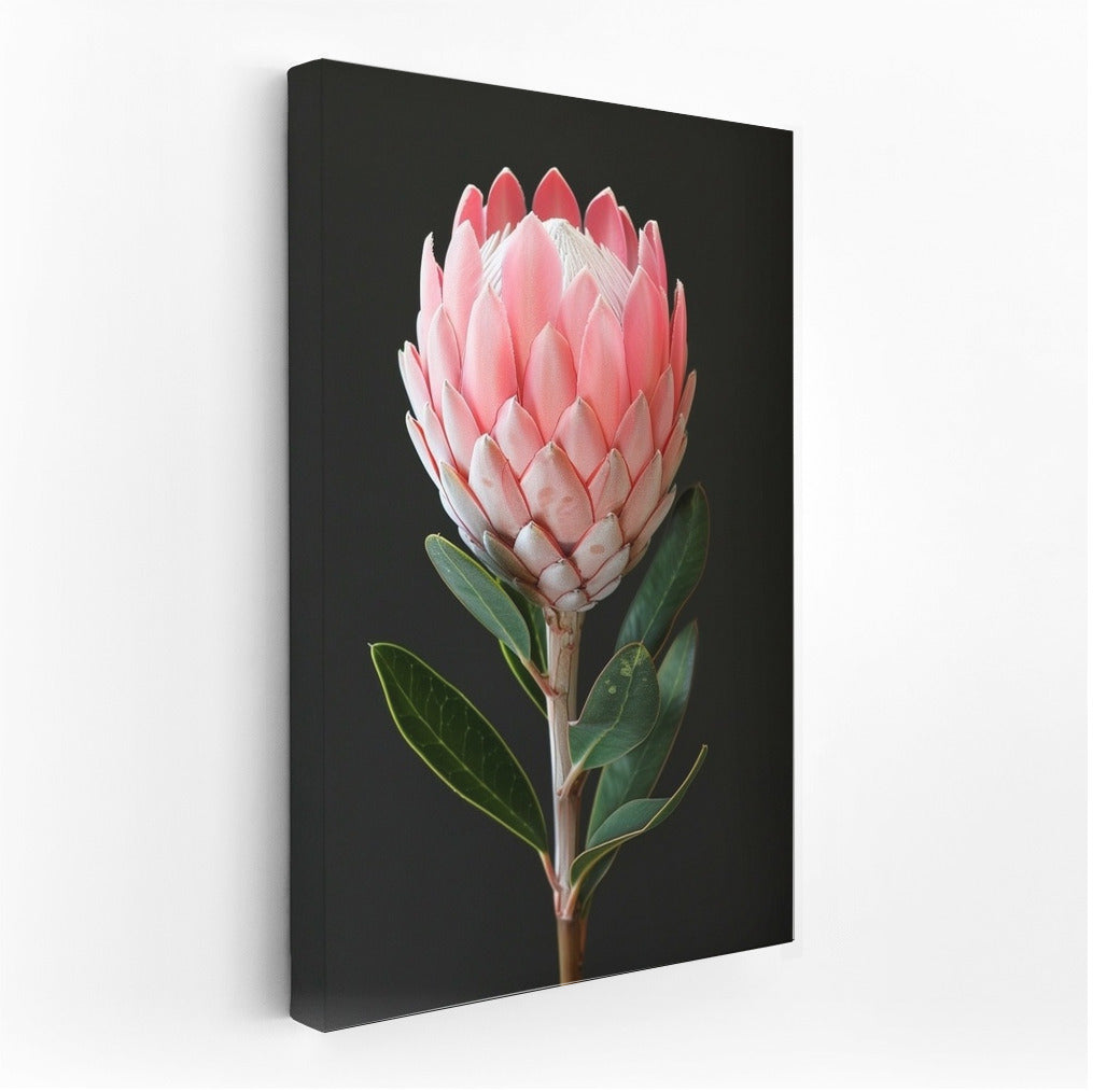 Protea: The Majesty of Nature