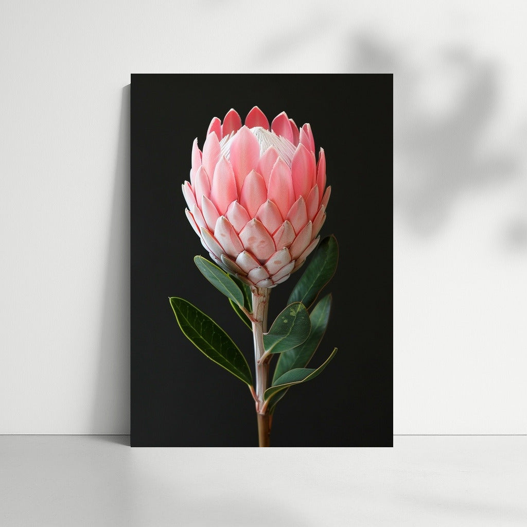 Protea: The Majesty of Nature