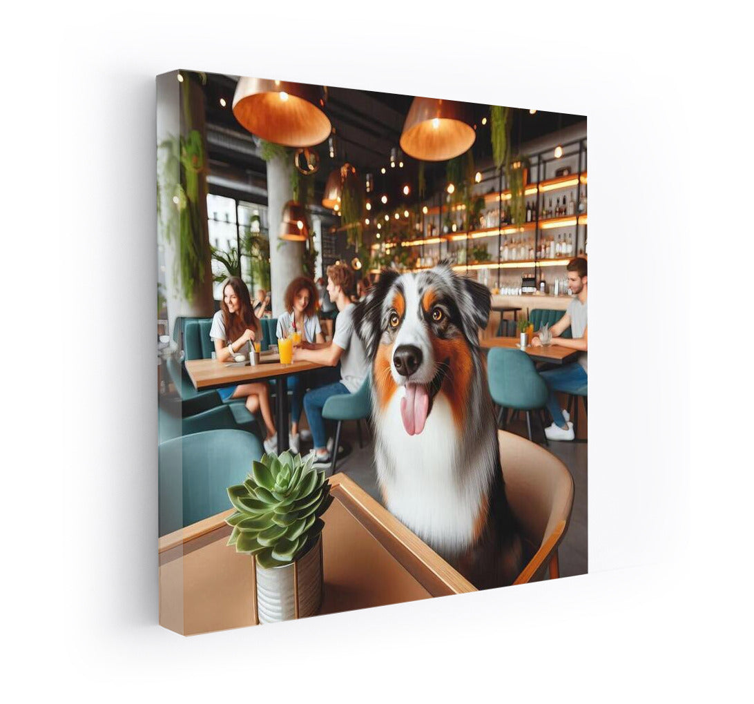 Australian Shepherd at the Fashion Cafe: Style and Atmosphere