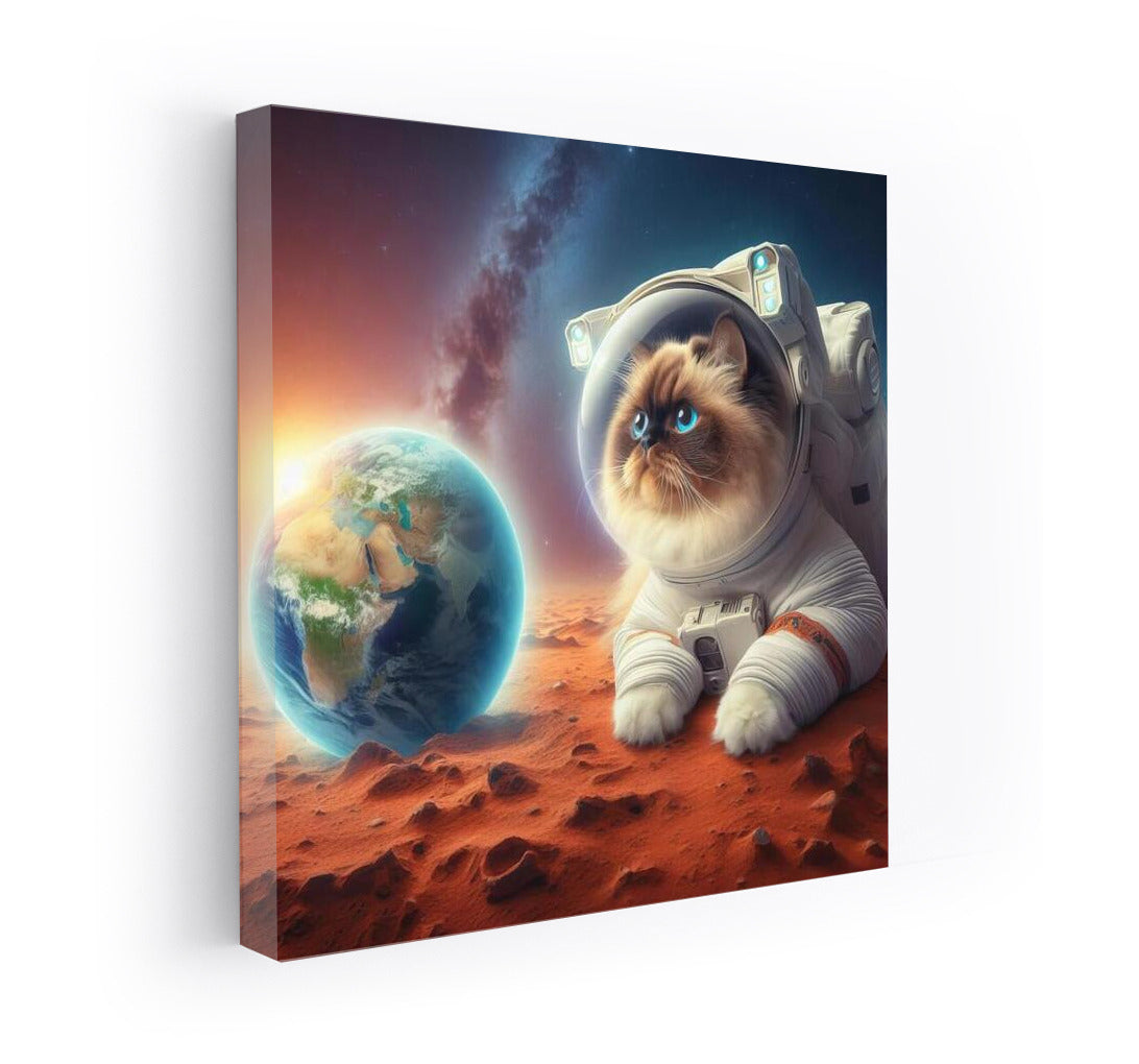 Burmese Cat in a Spacesuit on Mars: A Look at Earth
