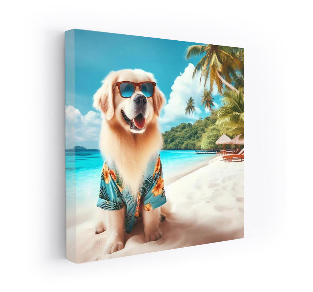 Sun Dog in Tropical Paradise: The Dog with Glasses by the Ocean