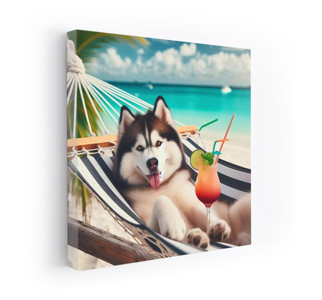 Siberian Husky in a Hammock: Summer Beach Fun with a Cocktail