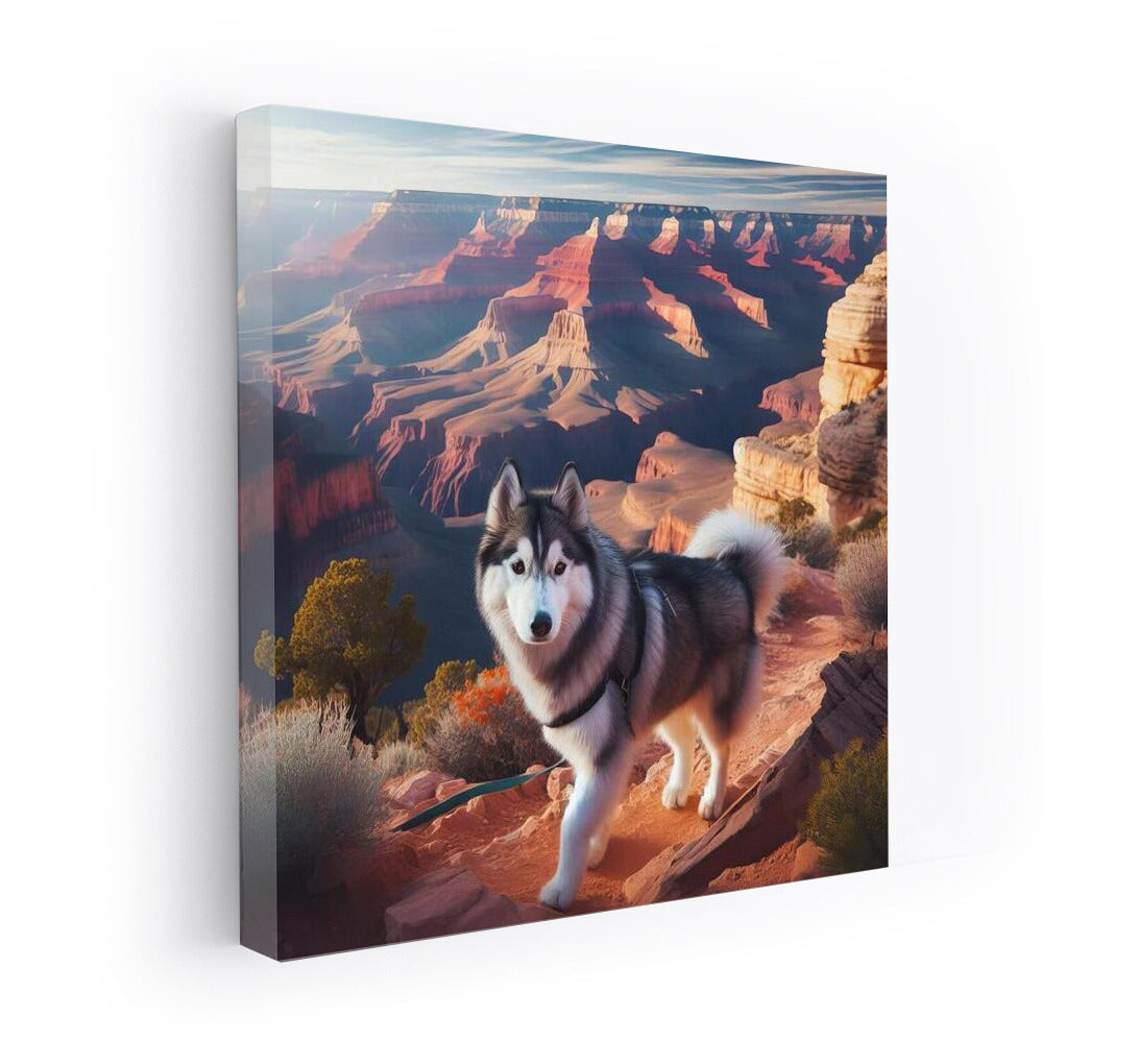 Siberian Husky in the Grand Canyon: Adventure at the End of the Earth