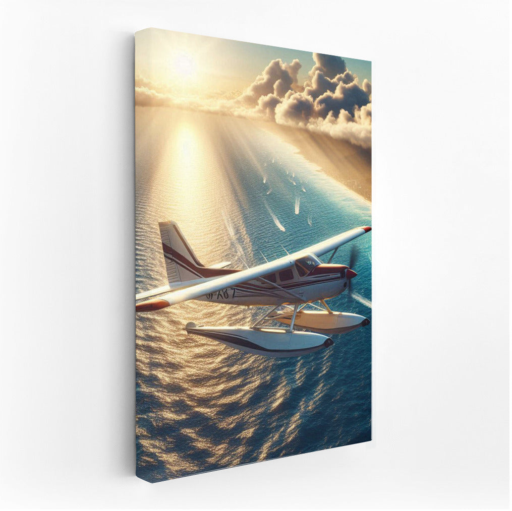 Freedom in Flight: Seaplane over the Endless Ocean