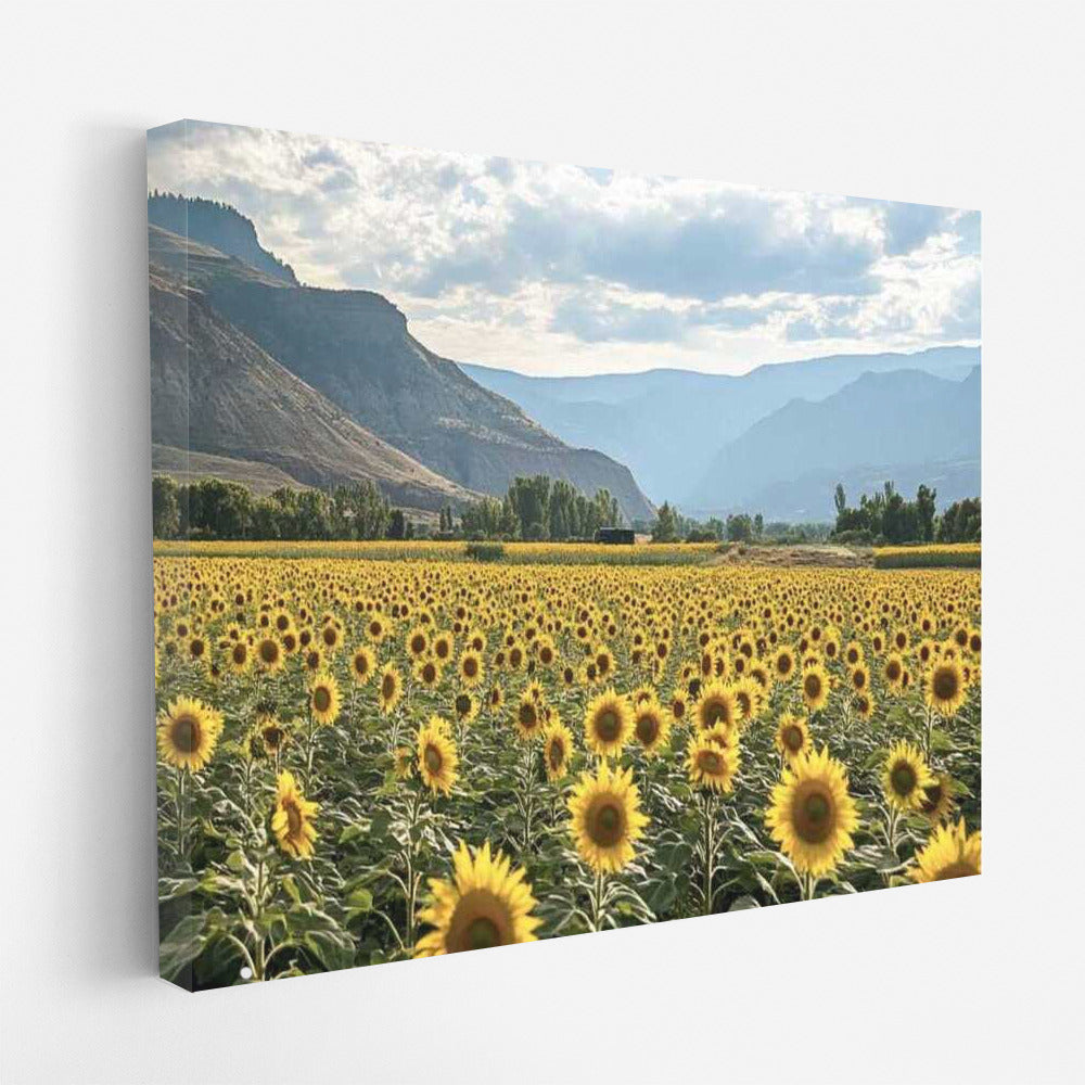 Golden Field: Beautiful Sunflowers Helianthus Varieties