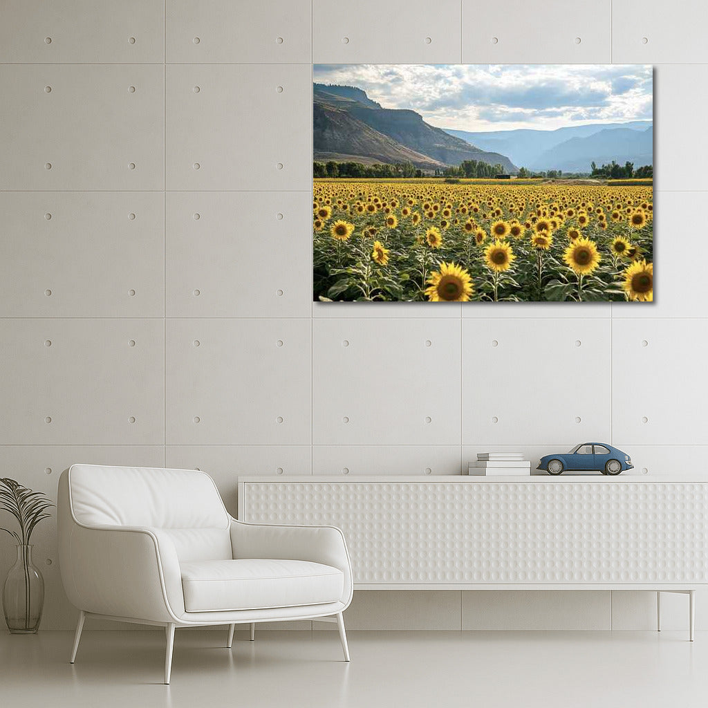 Golden Field: Beautiful Sunflowers Helianthus Varieties