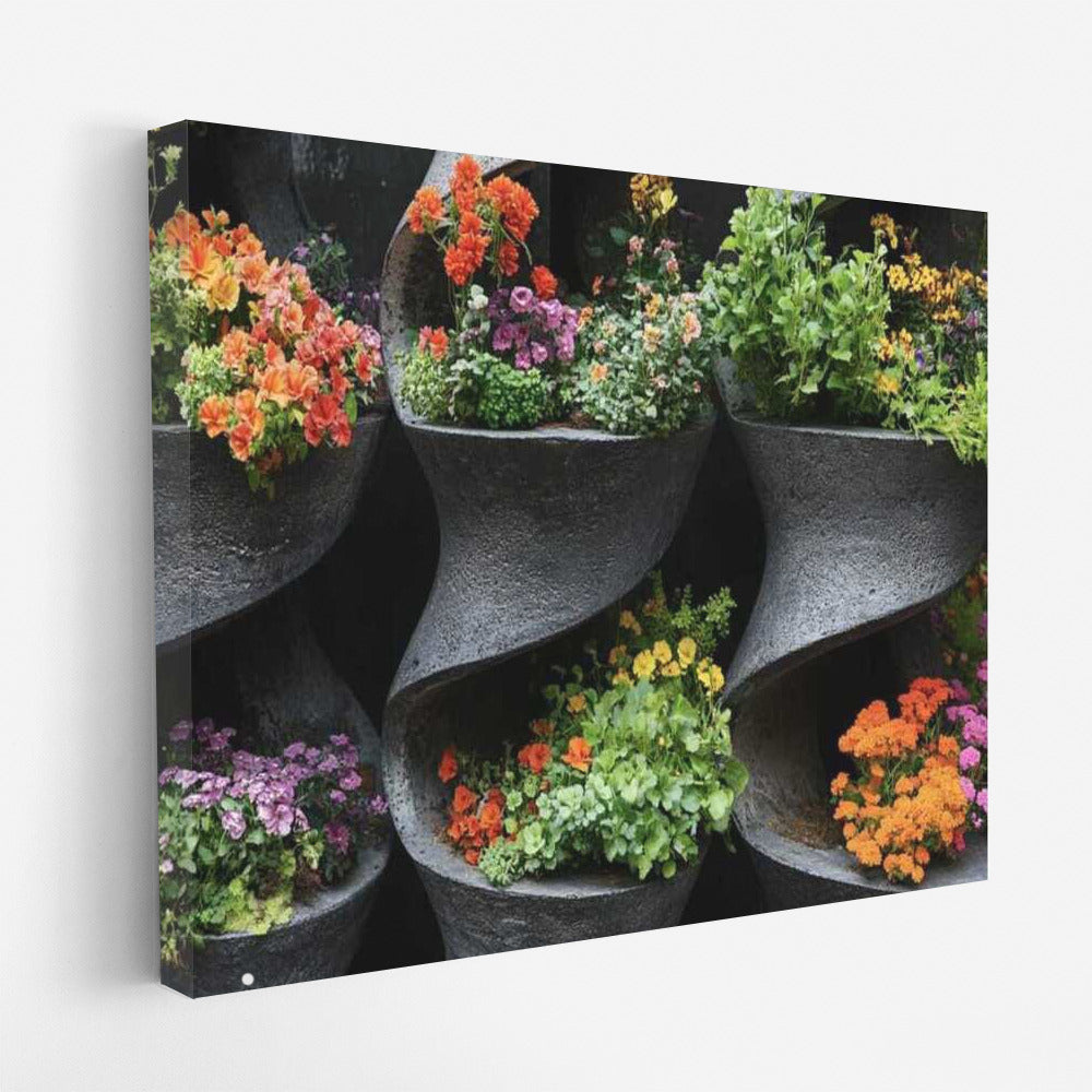 Flower Kaleidoscope: Geranium and Marigolds for a Beautiful Garden