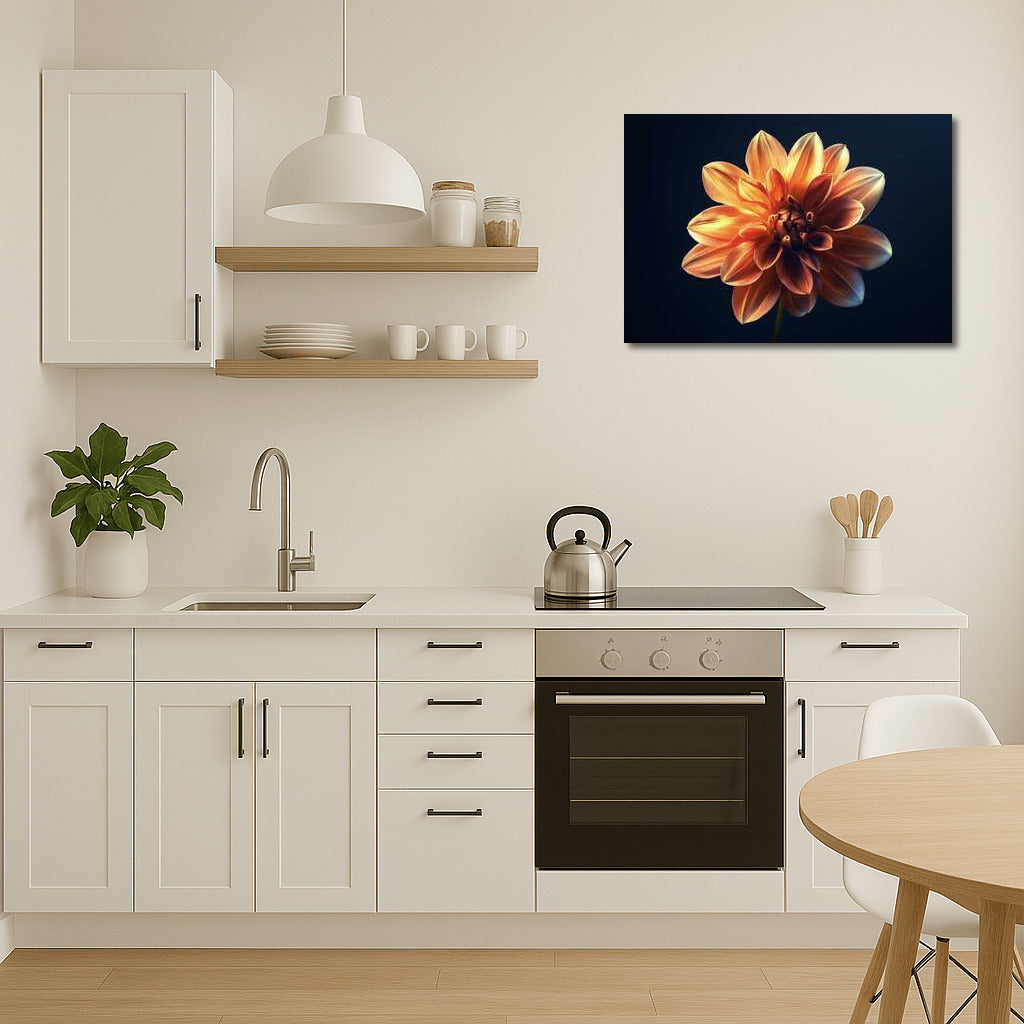 Elegant Dahlia: Single Flower for Comfort and Style