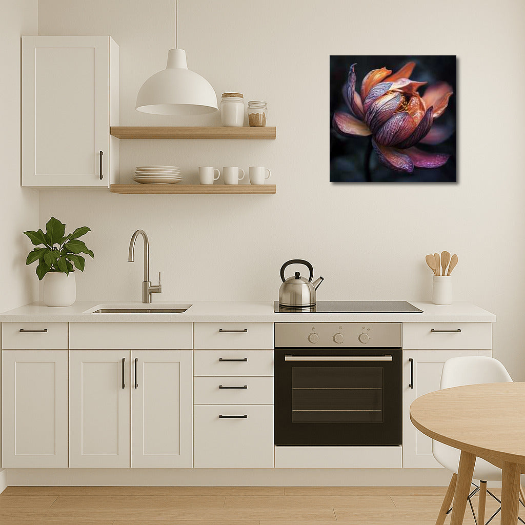 Lotus Dawn: The Magical Blooming of a Flower