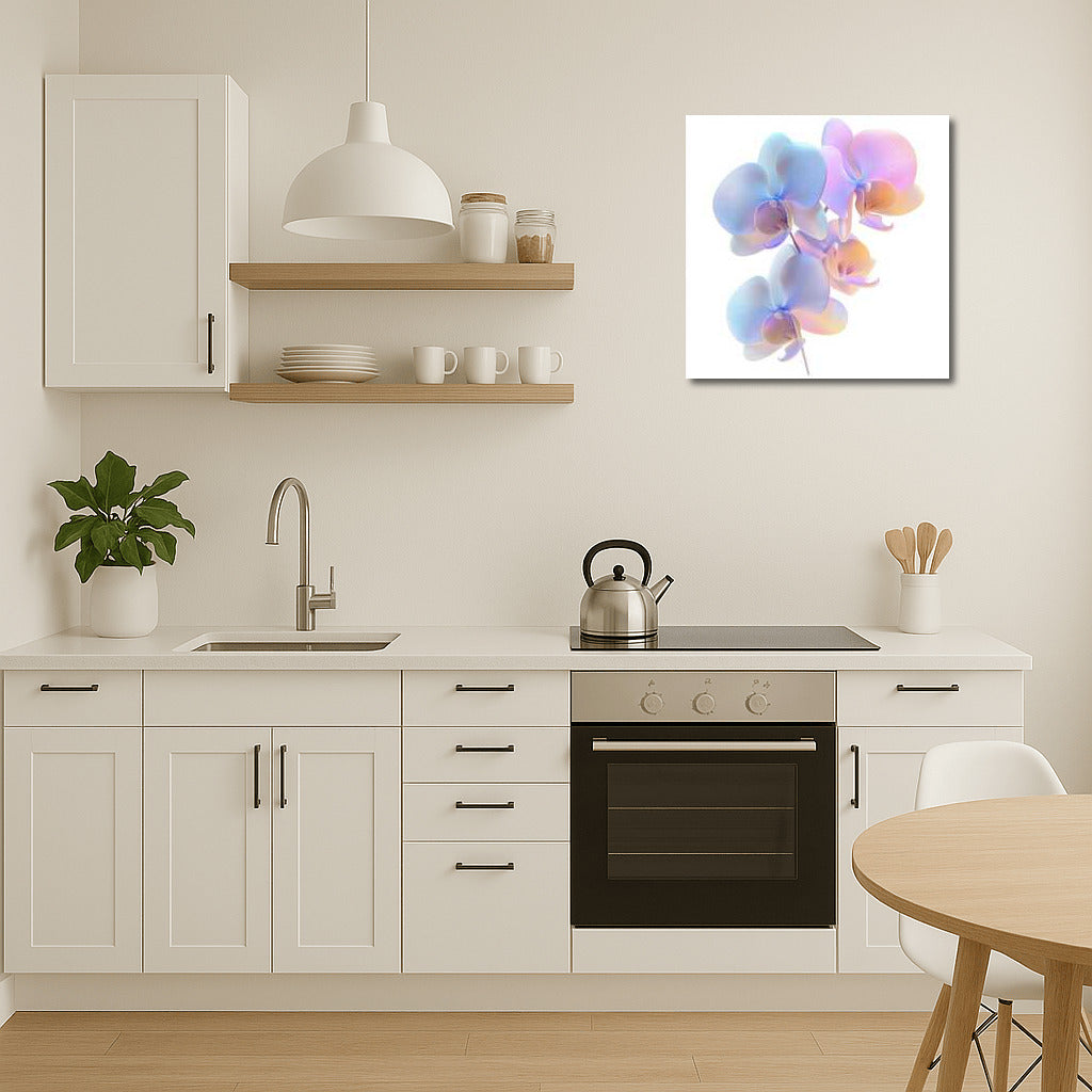 Phalaenopsis Orchid Bloom: Inspiration and Beauty