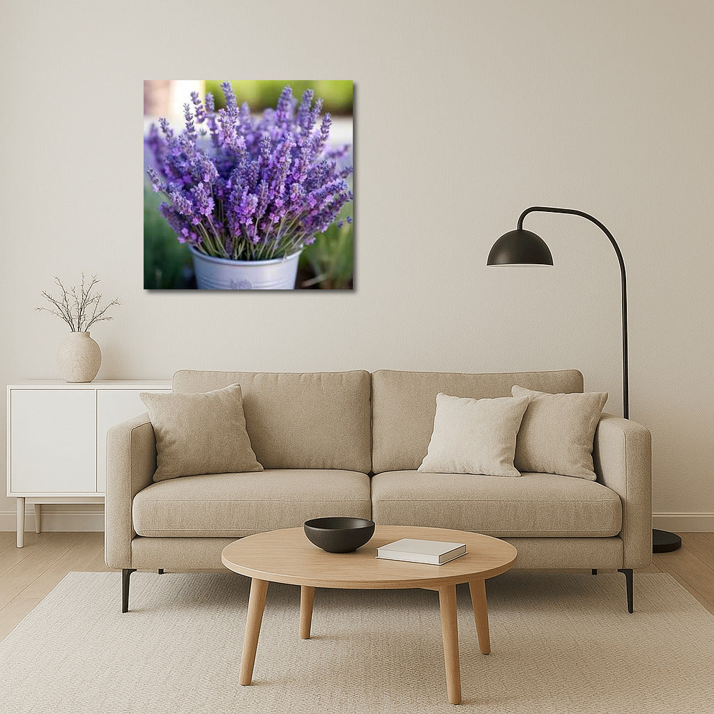 Lavender Delicate: Elegant Hidcote Flowers for Comfort and Harmony