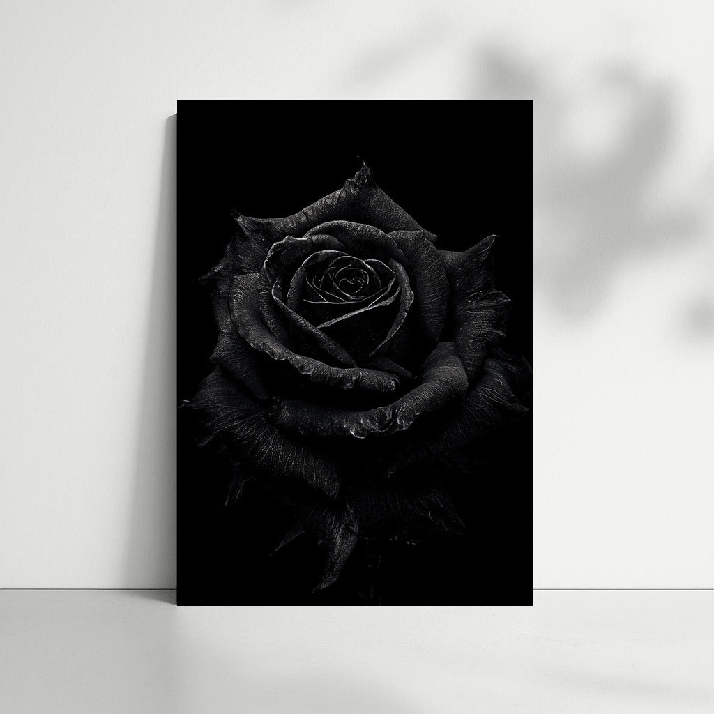 Mysterious Black Rose: Elegant Flower for Wall Decor