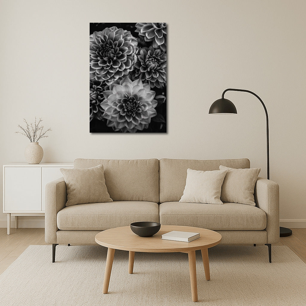 Black and White Dahlias: The Elegance of Floral Art