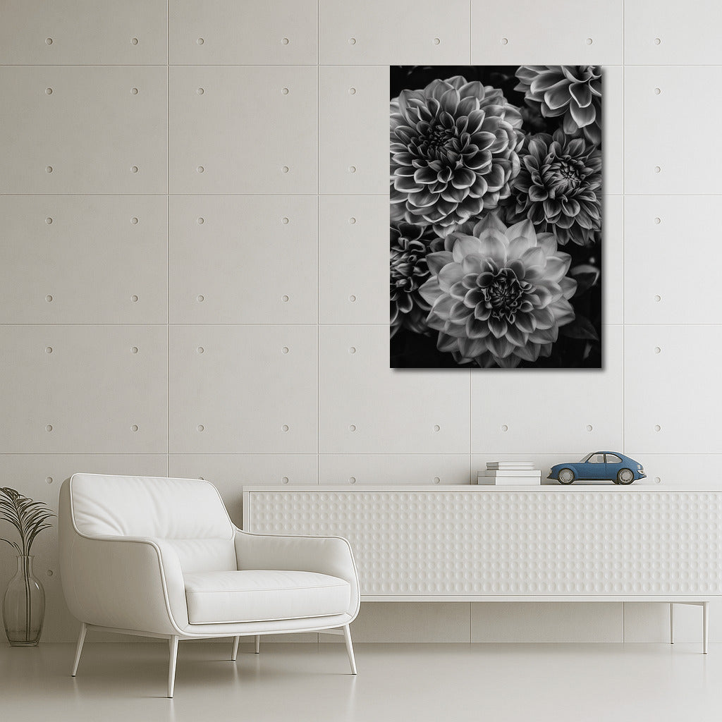 Black and White Dahlias: The Elegance of Floral Art