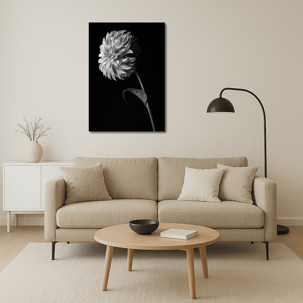 Black and White Dahlia: Elegance of Flower Lines