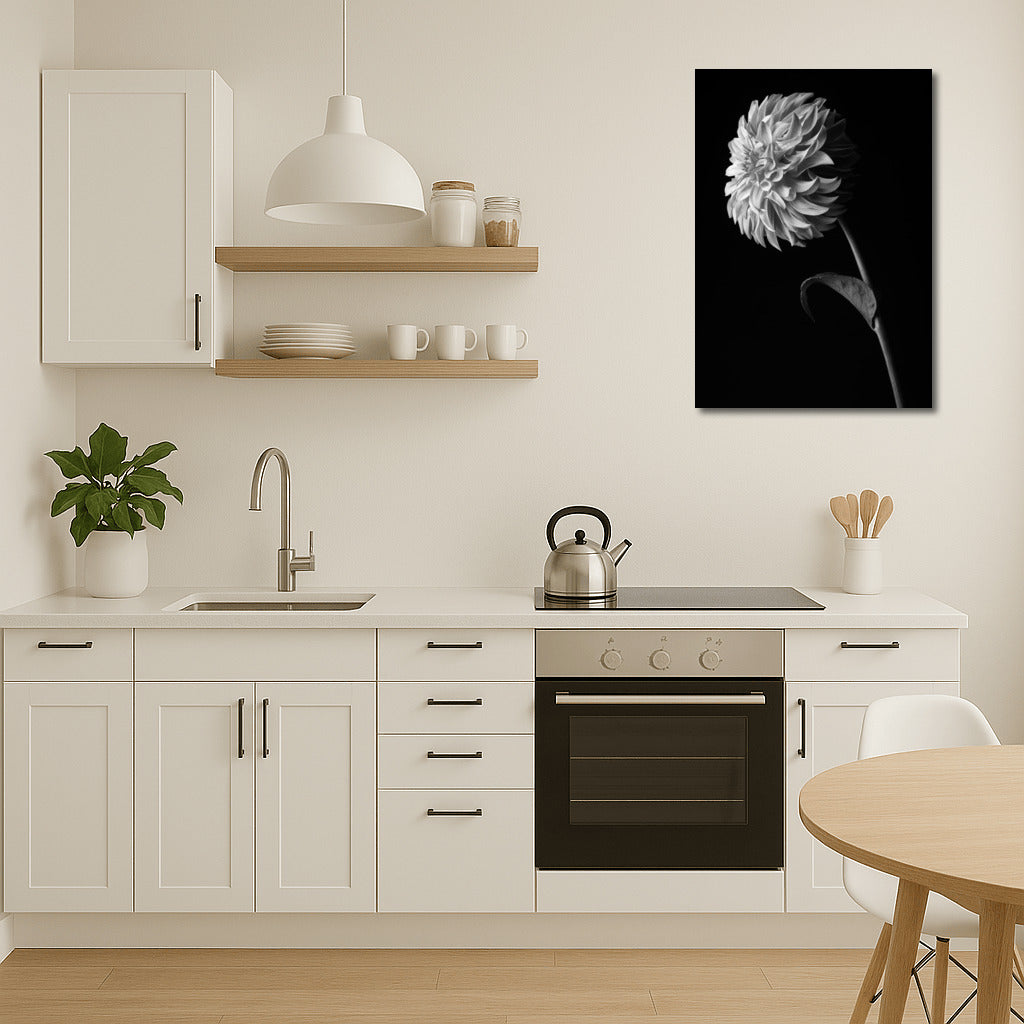 Black and White Dahlia: Elegance of Flower Lines