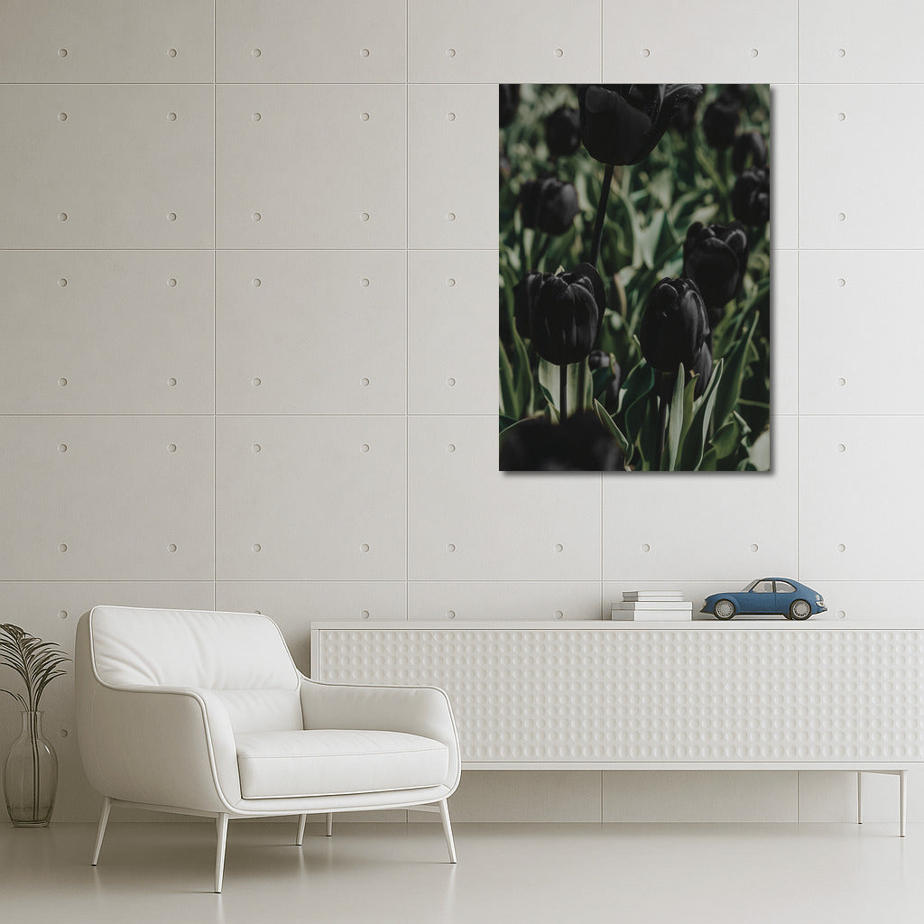 Black Tulips: Flower Poetry in Wall Decor