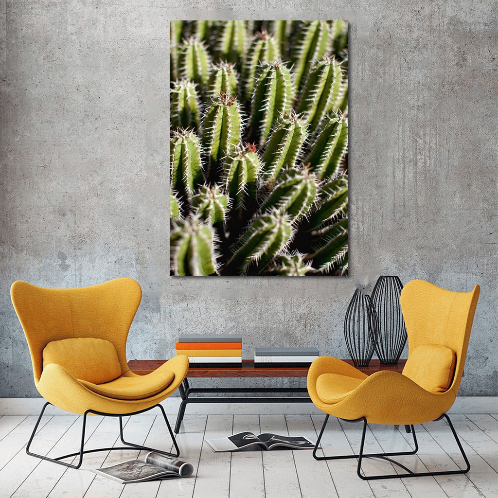 Green Dance of Cacti: Symphony of Nature