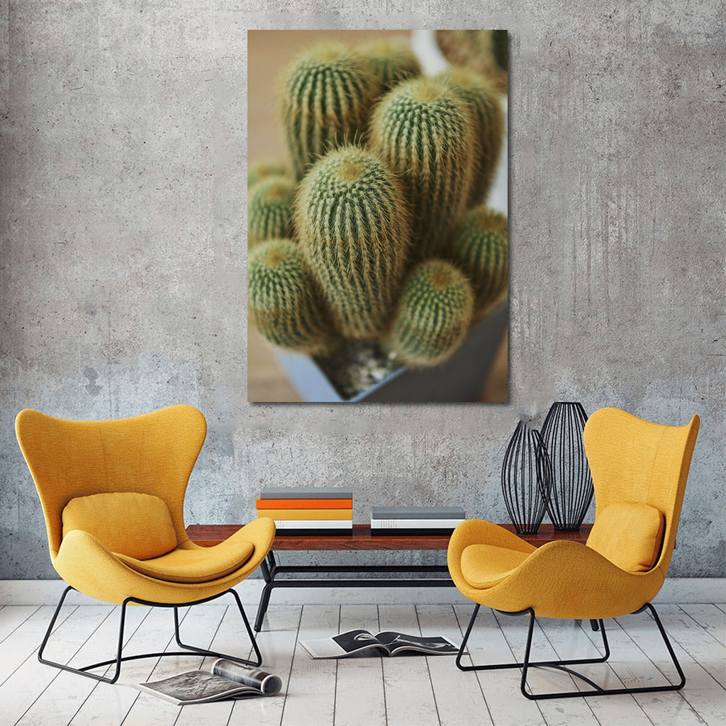 Desert Blooms: Cacti and Flowers