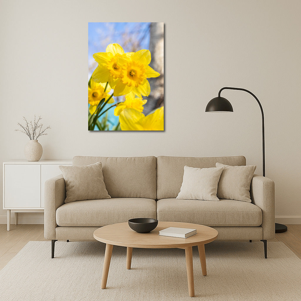 Spring Dance: Bright Daffodils of the Tet-a-Tet variety