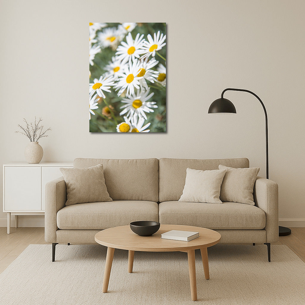 Blooming Chamomile: Freshness and Tranquility in Your Interior
