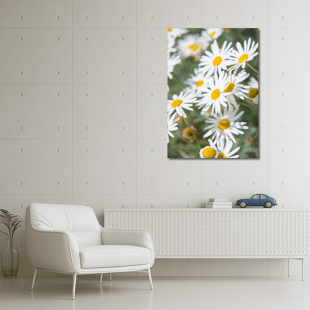 Blooming Chamomile: Freshness and Tranquility in Your Interior