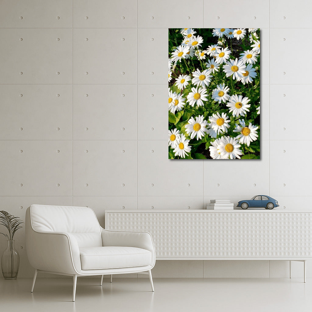 Bright Daisies: Freshness and Harmony for the Interior