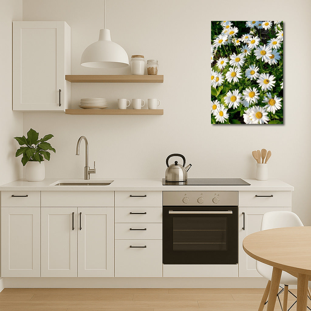 Bright Daisies: Freshness and Harmony for the Interior