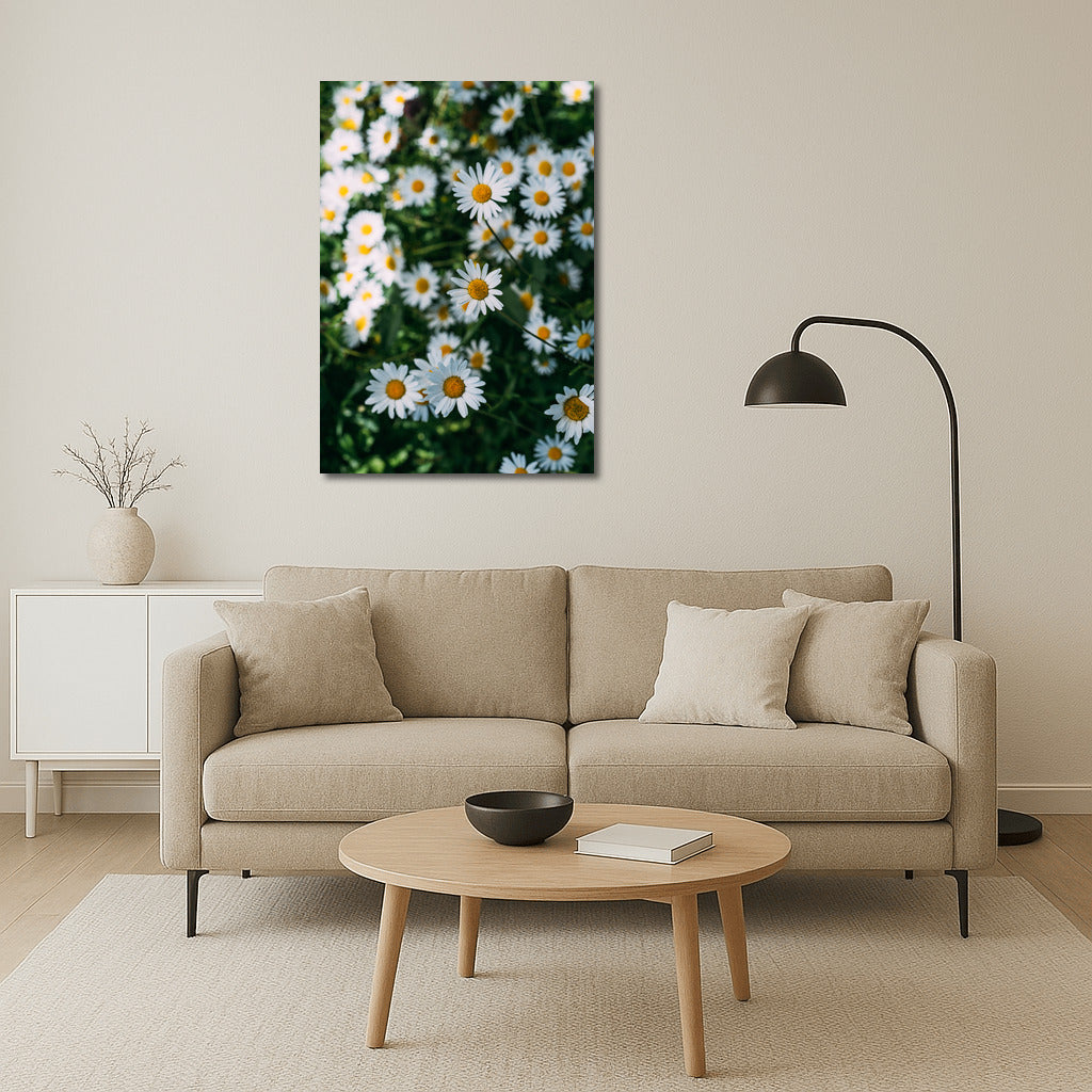 The Charm of Daisies: A Close Look at the Floral World