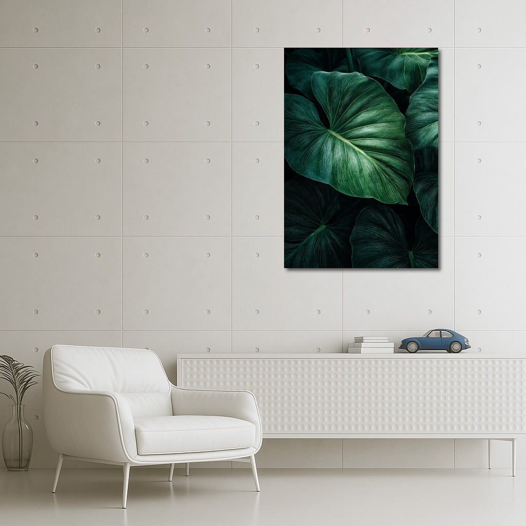 Philodendron Symphony: Elegant Leaves for the Interior