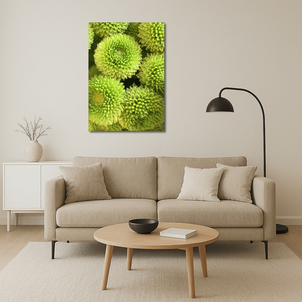 Green Chrysanthemums: Floral Magic for the Interior