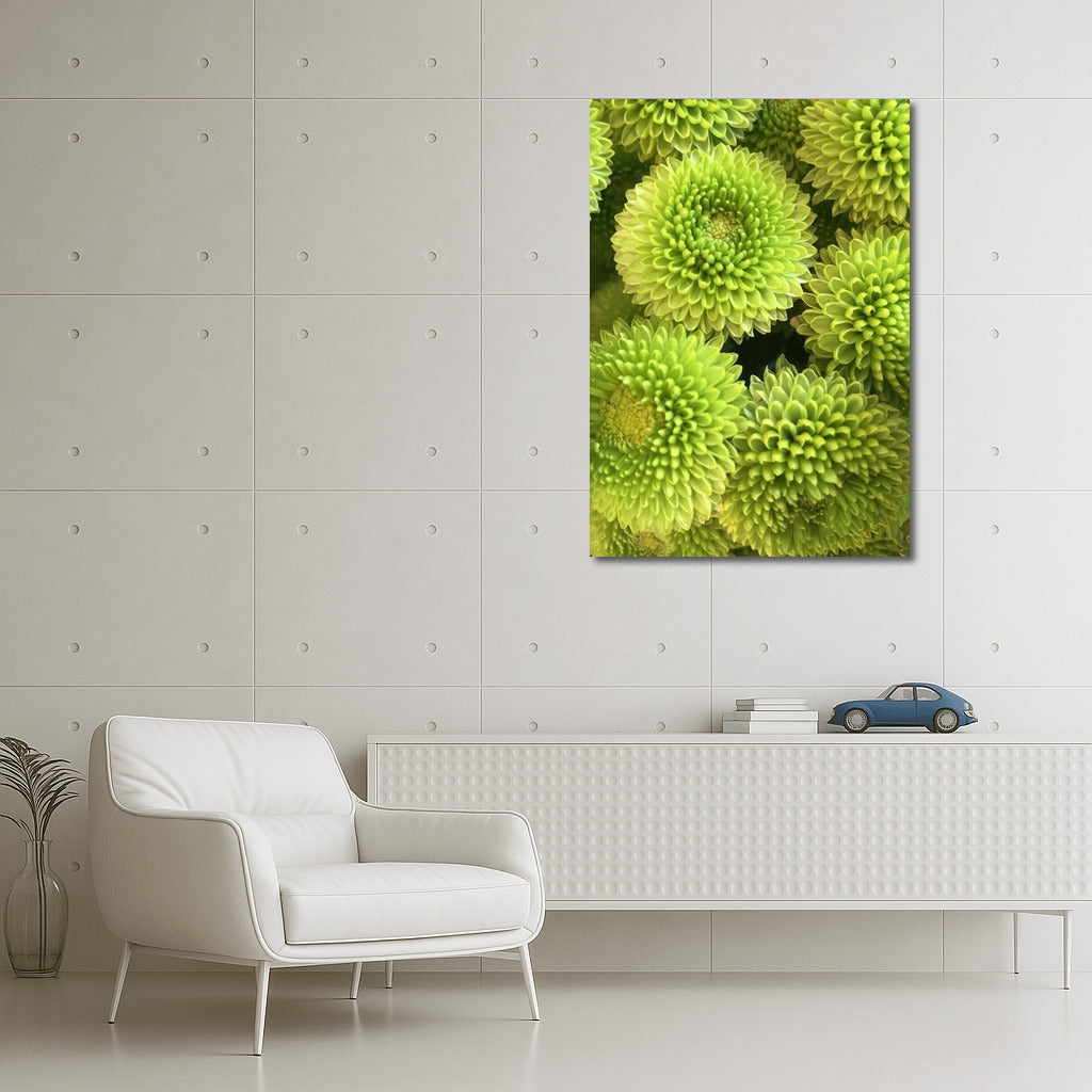 Green Chrysanthemums: Floral Magic for the Interior