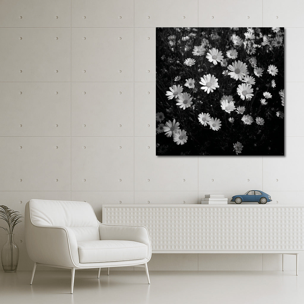 Shine of Bright Daisies: Floral Freshness for the Interior