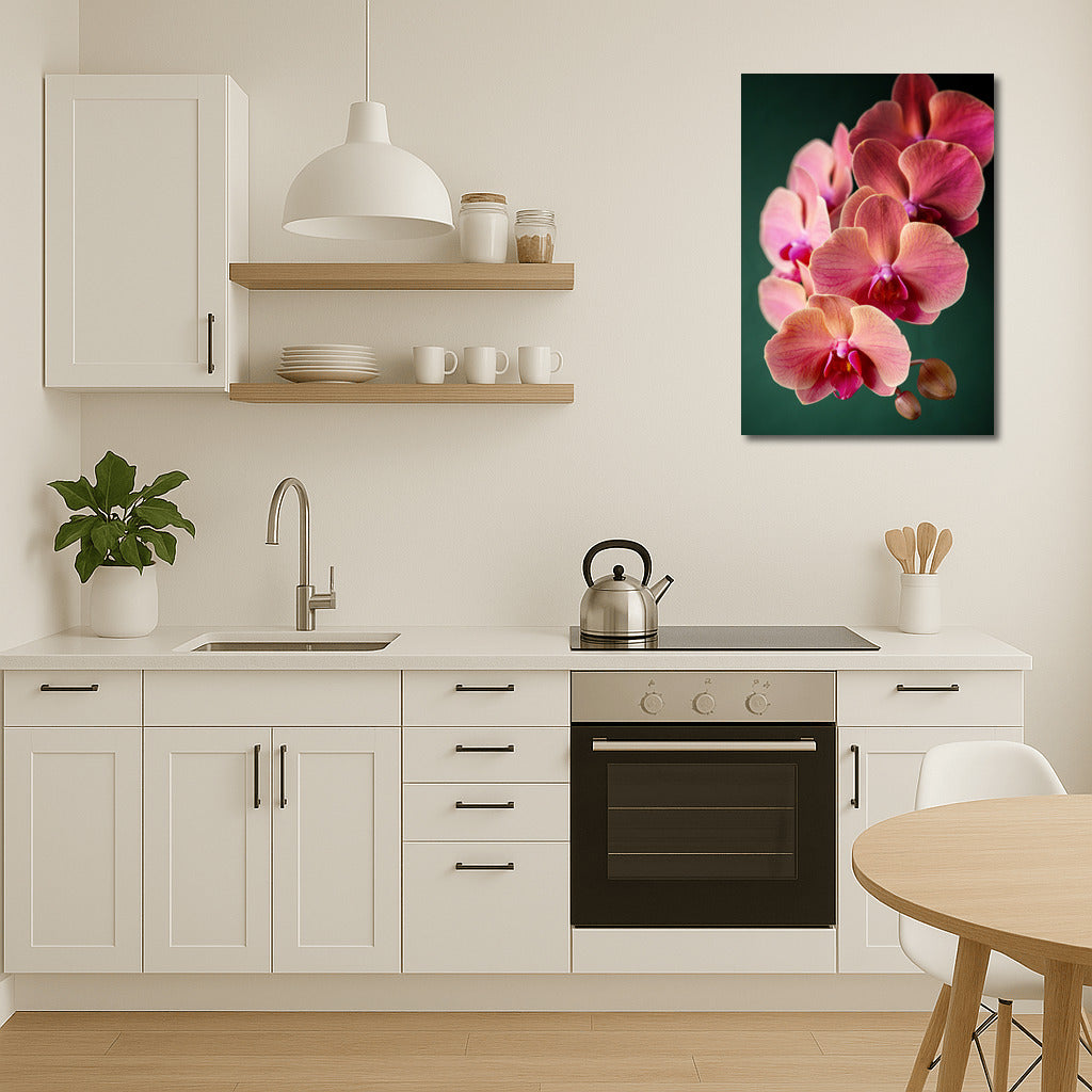 Phalaenopsis Orchid: An Exquisite Floral Accent for the Interior