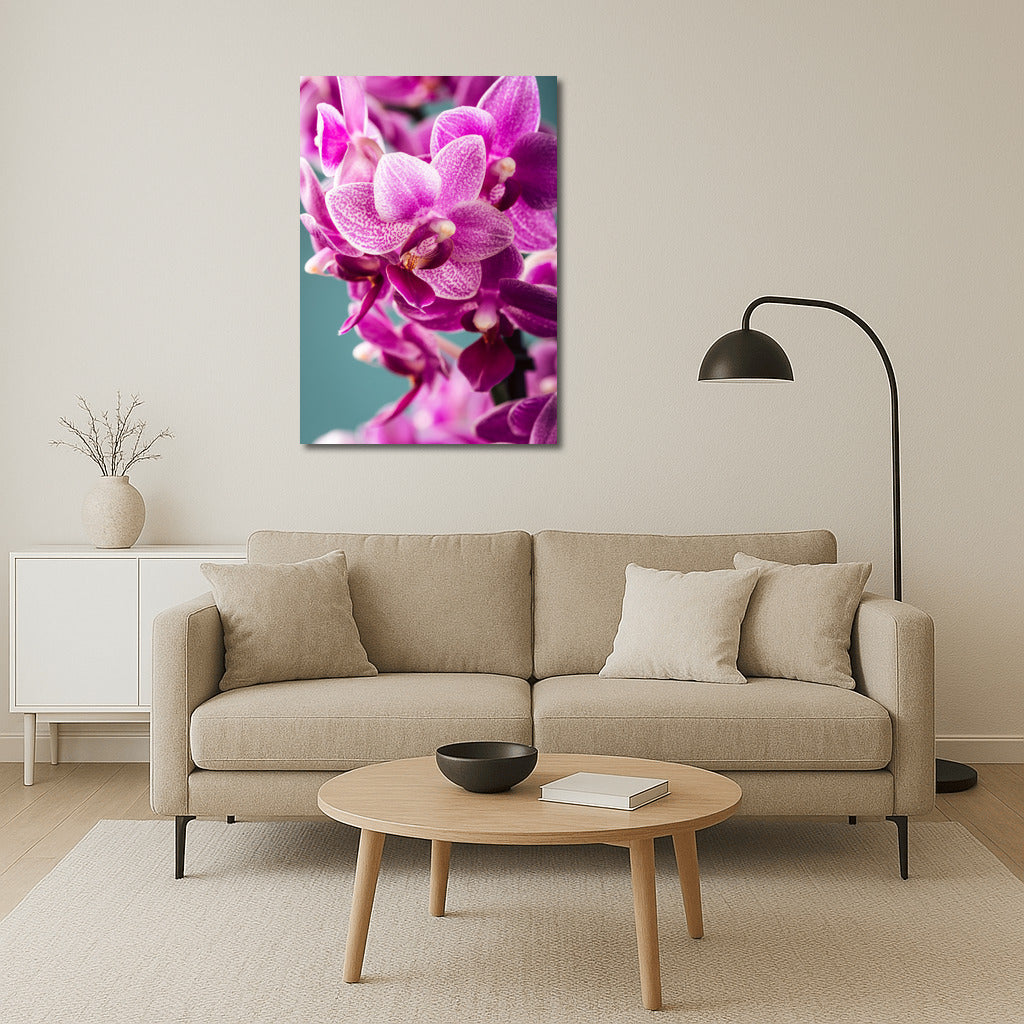 The Charm of Orchids: Delicate Flowers for the Interior