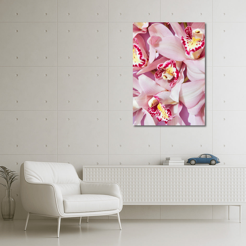 Orchid Bloom: Elegant Floral Decor for Interior