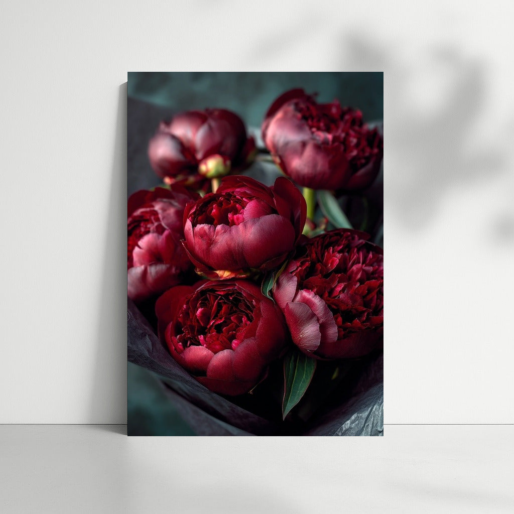 Peonies Sarah Bernhardt: Elegant Flowers for the Interior