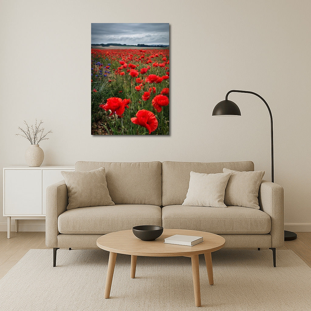 Scarlet Poppy Festival: Bright Flowers for the Interior