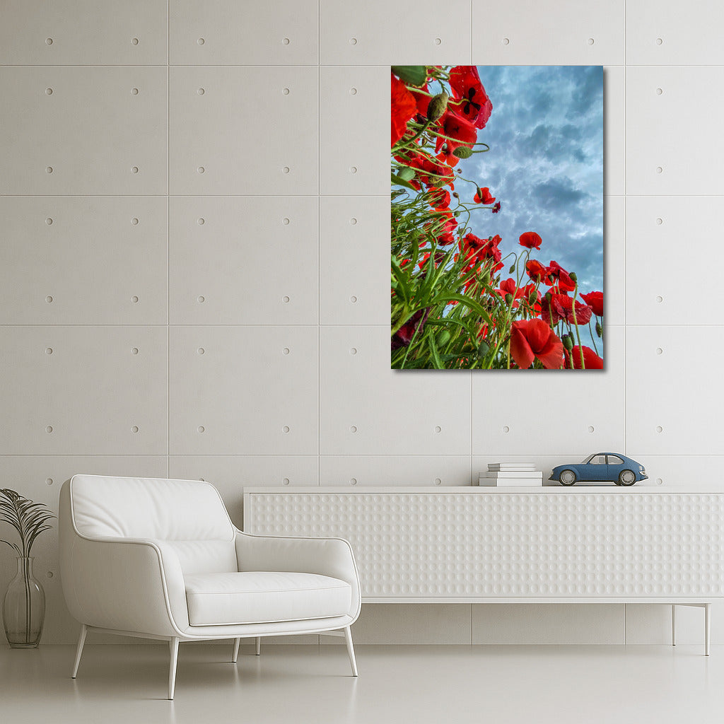 Celestial Poppies: Vibrant Flowers for Inspiration