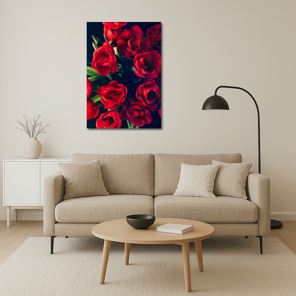 Darwin's Scarlet Tulips: Springtime Charm
