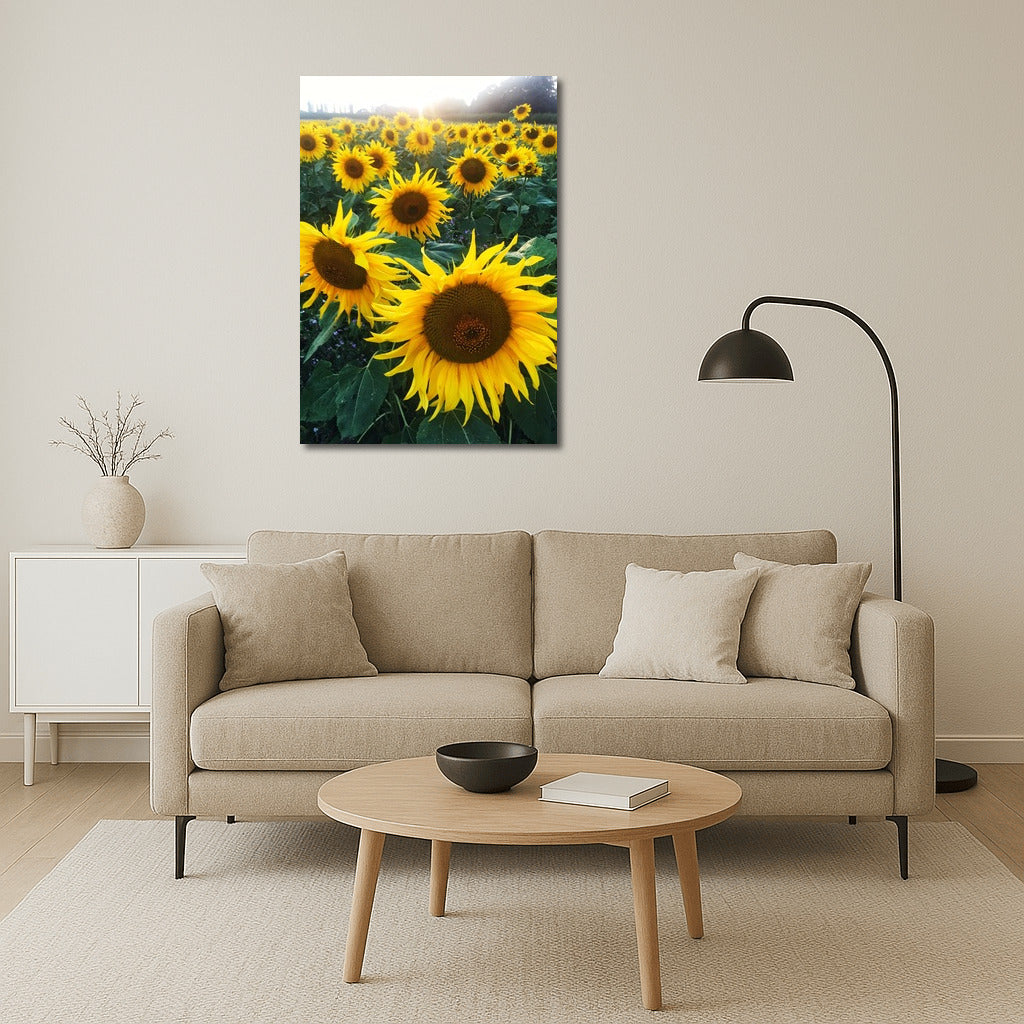 Sunny Sunflowers: Summer Field in Your Interior